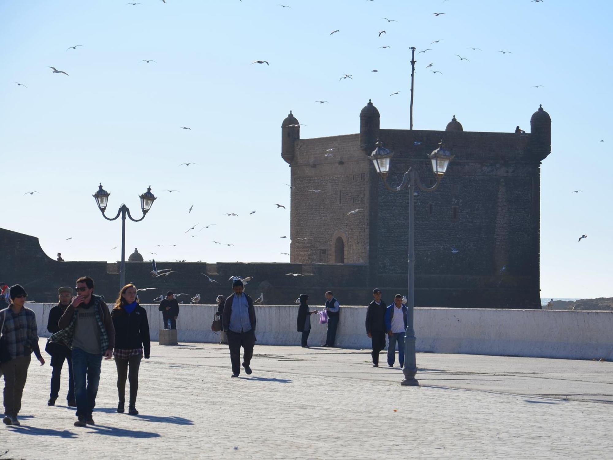 Tweets Hotel Essaouira Ngoại thất bức ảnh